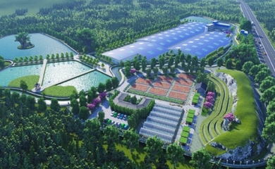 建寧縣委書記林大茂一行赴天馬科技集團考察交流 加速推進三產融合項目建設